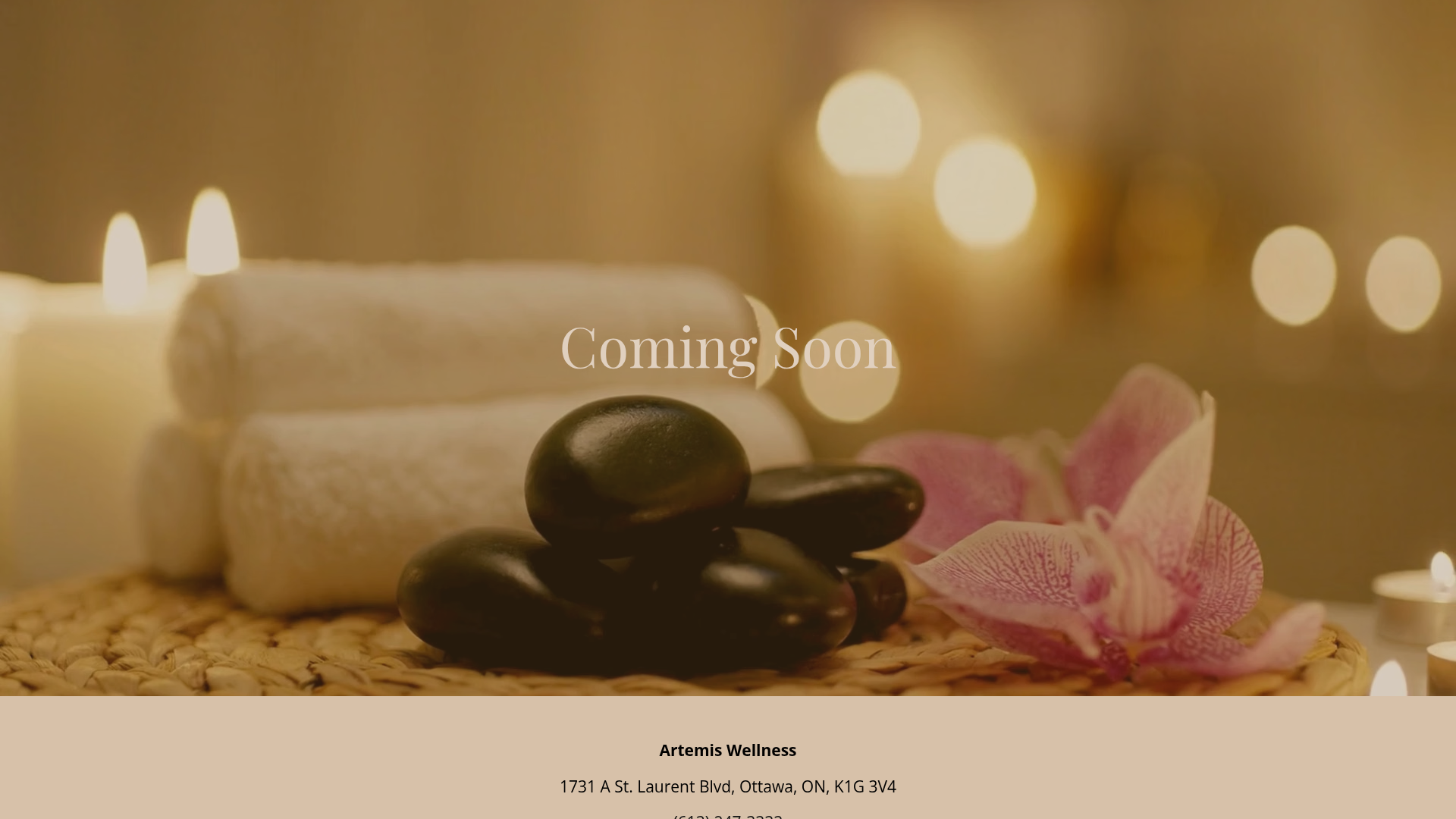 Wellness clinic website, before